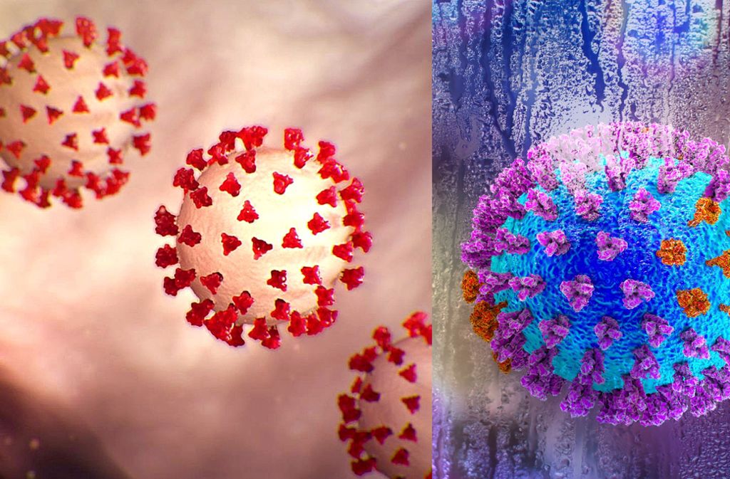 Links das Coronavirus, rechts das Influenzavirus. Foto: dpa/Center for Disease Control