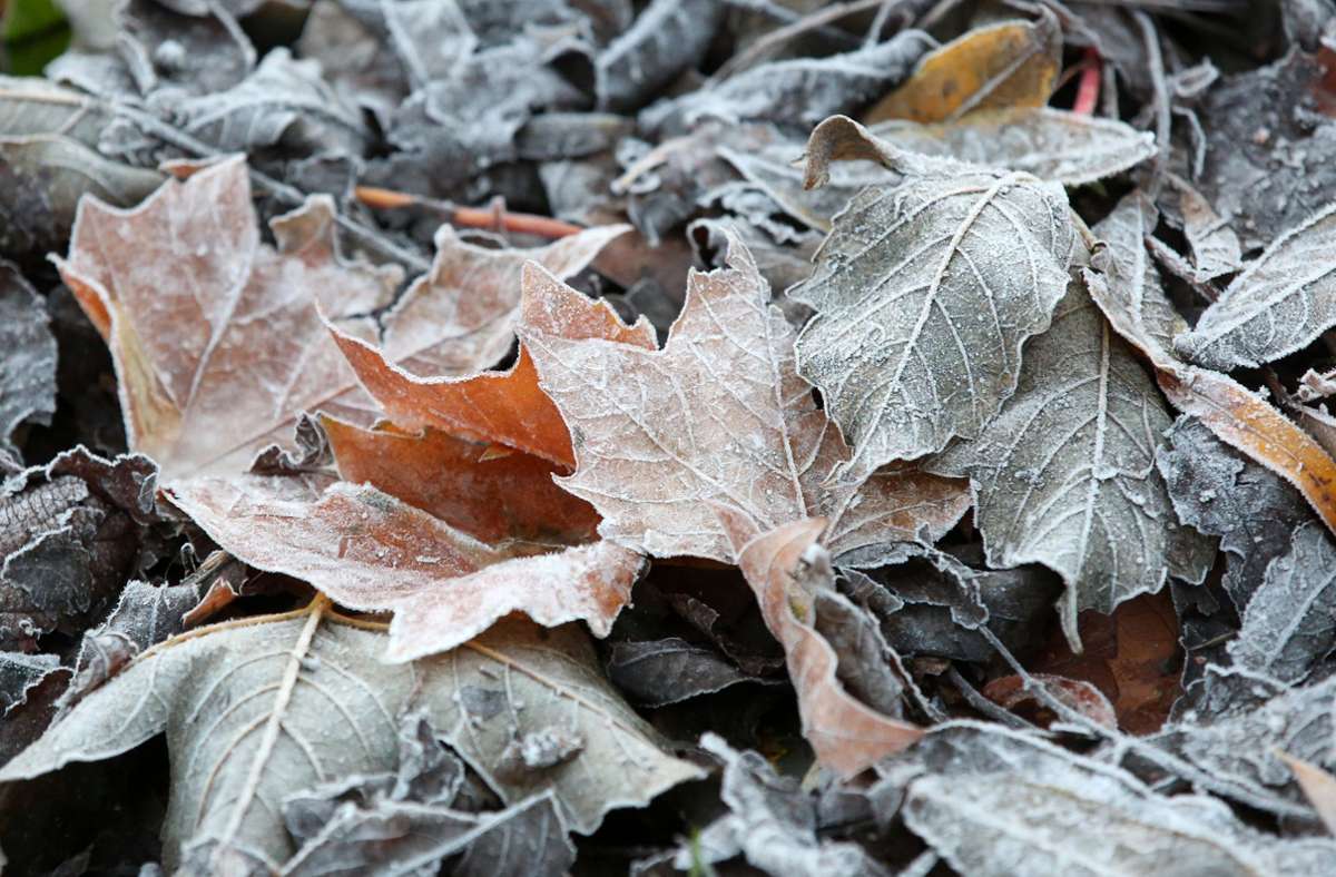 Wetter: Herbstlich kühl und wechselhaft –  Schneefallgrenze sinkt
