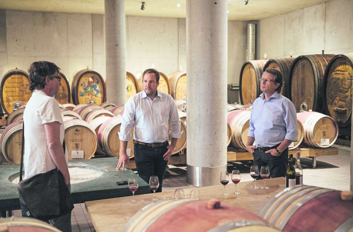 StZ Magazin: Die Zukunft hat Bouquet: Ein Besuch in Deutschlands ältester Weinbauschule