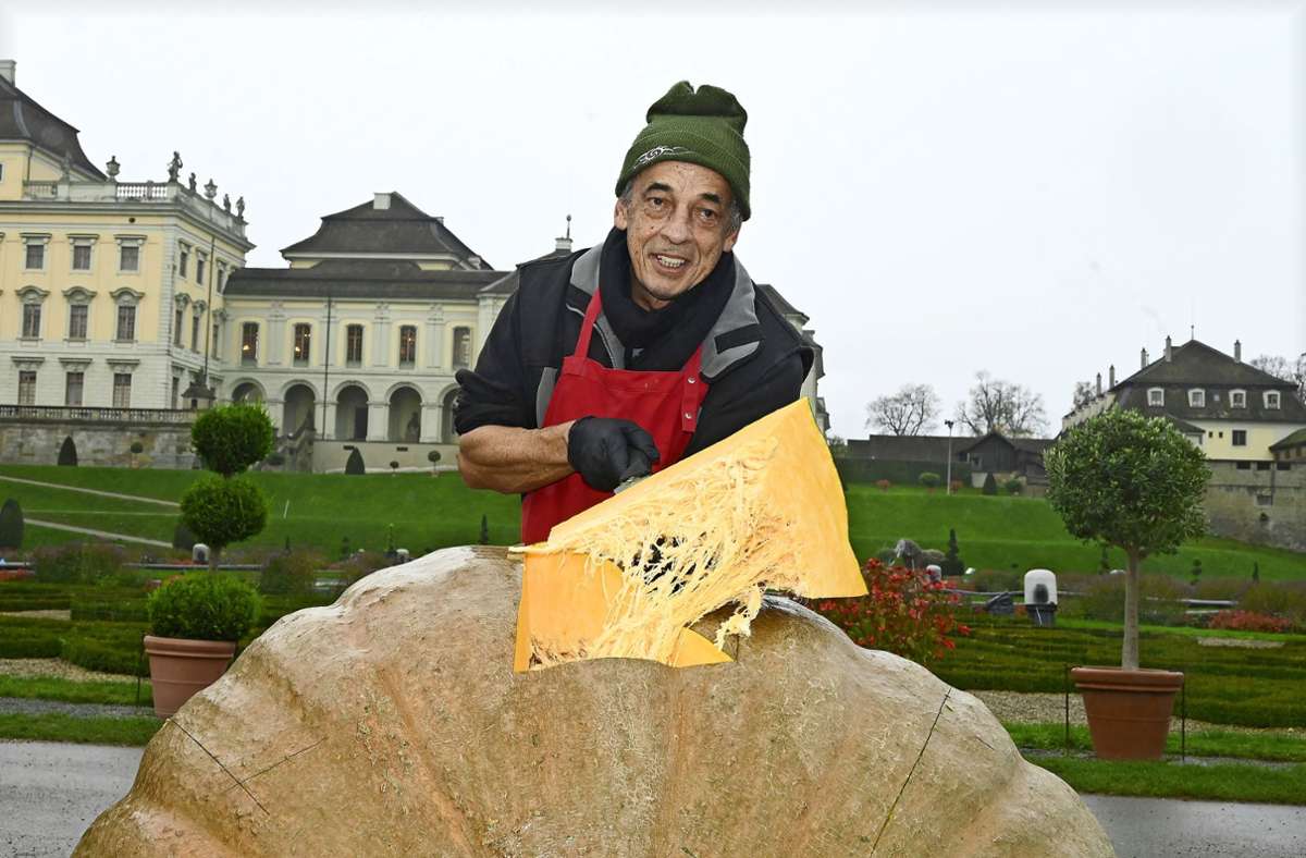 Spektakuläre Aktion in Ludwigsburg: Riesenkürbissen geht es an den Kragen