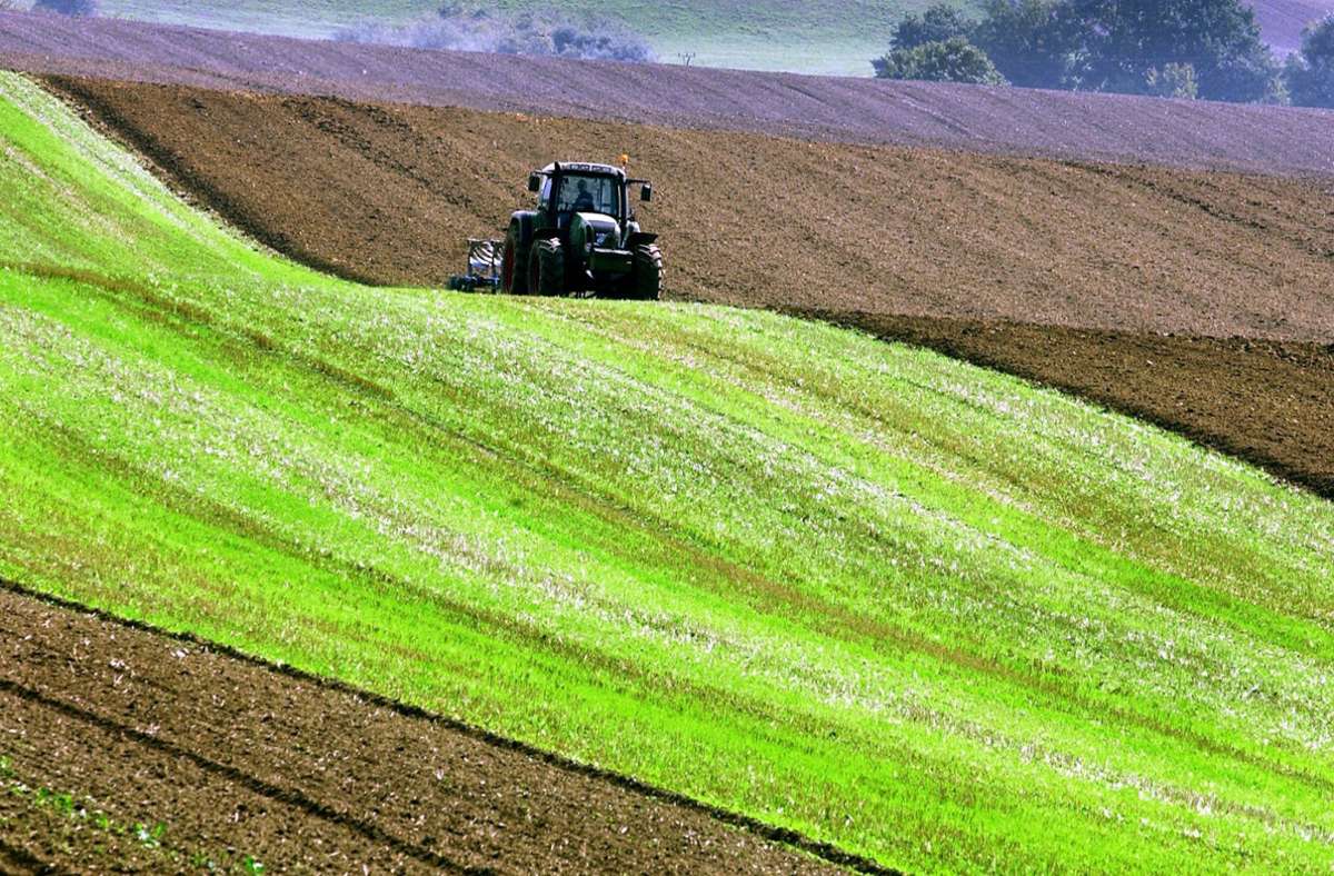 Die EU wollte die Landwirtschaft reformieren. Mehr Ökologie war das Stichwort, doch nun fließt das meiste Geld wieder an die großen Betriebe. Foto: dpa/Jens Büttner