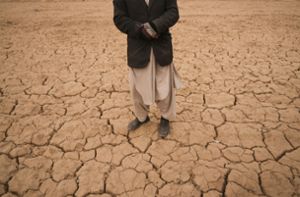 Klima-Studie: Extreme Dürre in Europa alle 20 Jahre zu erwarten