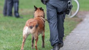Polizeihund beißt zu