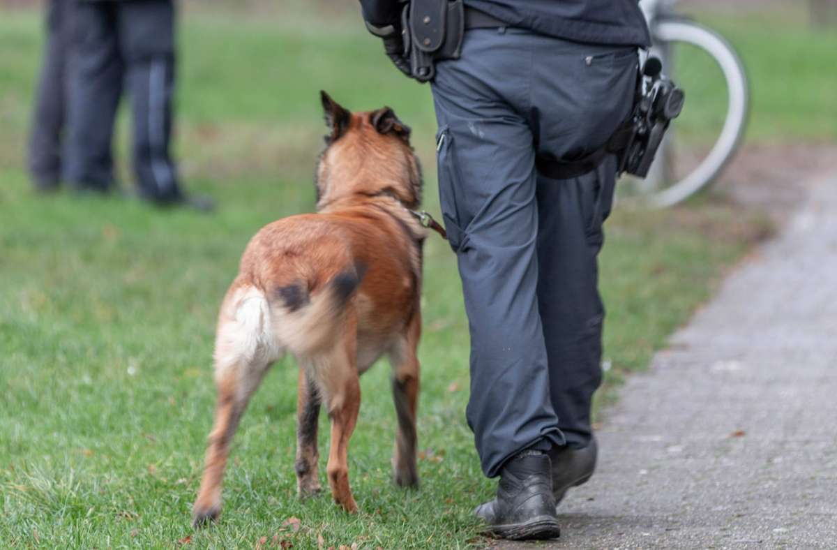 Mann wehrt sich in Tamm gegen die Polizei: Polizeihund beißt zu