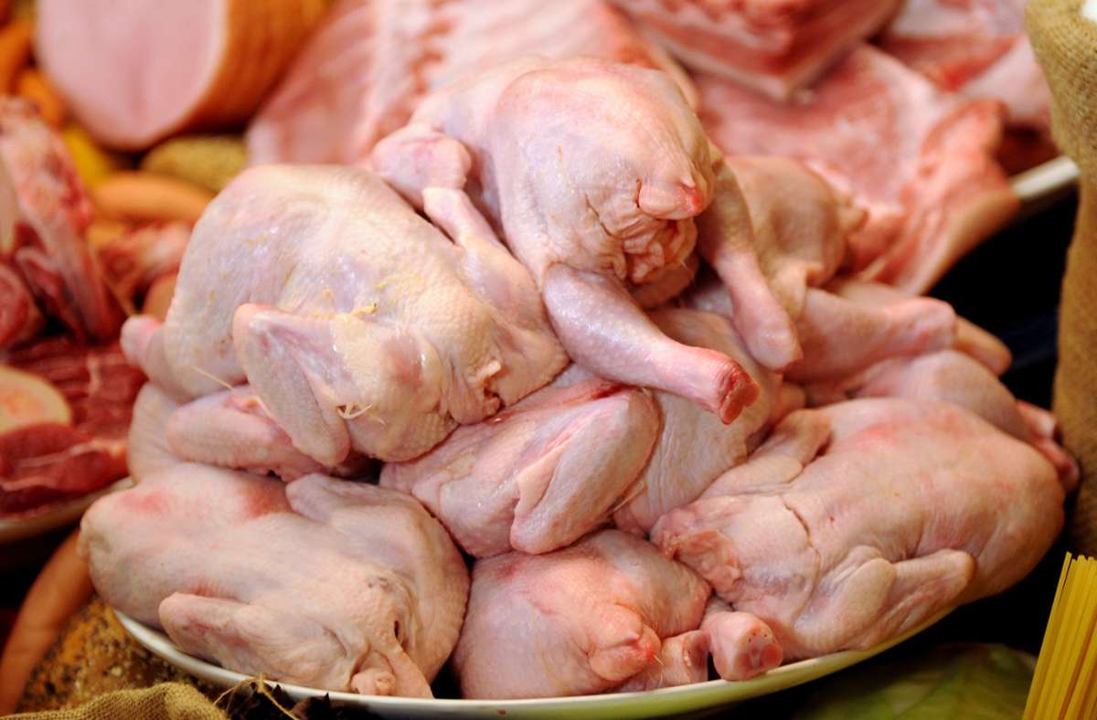 Antibiotika in Hühnerfleisch: Antibiotikaresistente Keime auf jedem zweiten Mast-Hähnchen