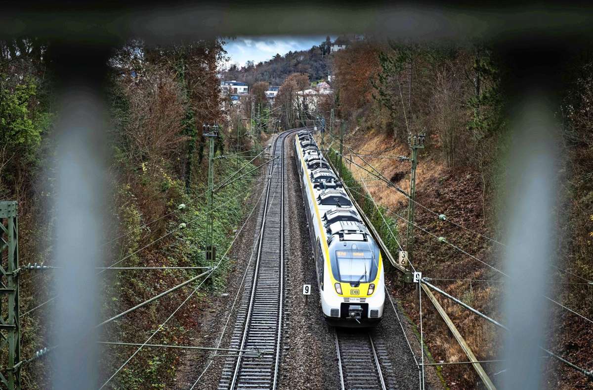 Stuttgart 21 und Gäubahn: Die Bahn fällt Bäume – auch für Eidechsen