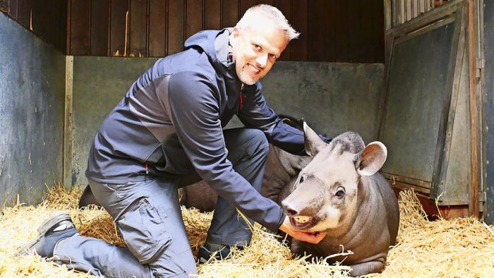 Wilhelma in Bad Cannstatt: Volker Grün lebt den Zoo