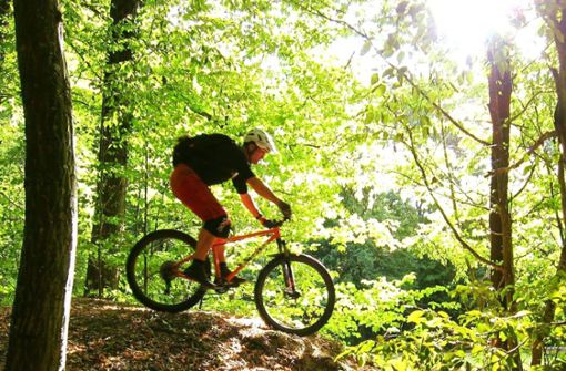 Der Wunsch nach legalen Mountainbike-Strecken durch den Wald gibt es vielerorts. Foto: DAV Schwaben/privat
