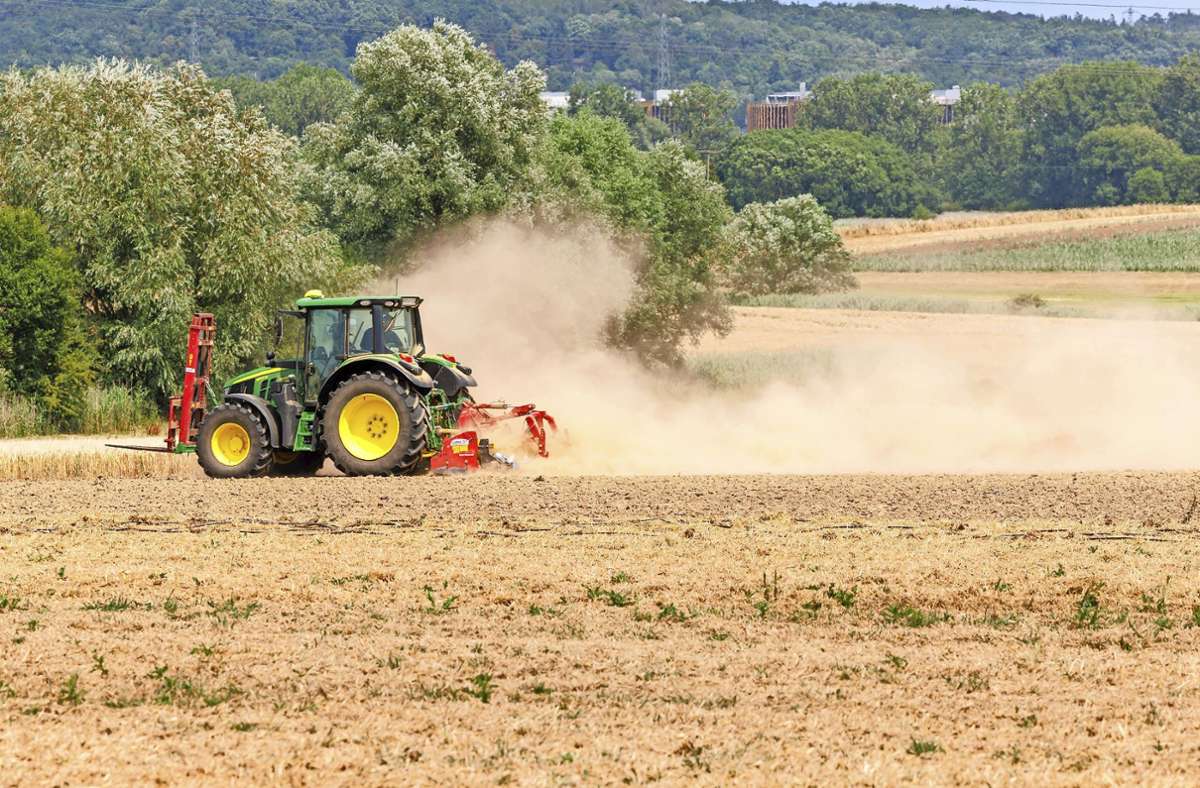 Landwirtschaft im Kreis Böblingen: Bauern klagen: Dürre ist  „so schlimm wie noch nie“