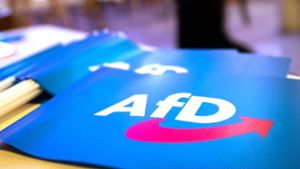 Bitkom: AfD-Position schadet Deutschlands Digitalwirtschaft