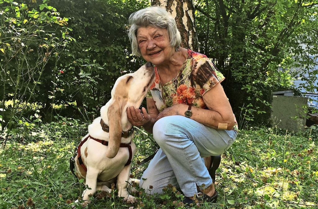 Seniorin sucht Nachbarn, die mit ihrer Bassett-Hündin Gassigehen: Dolly braucht mehr Auslauf