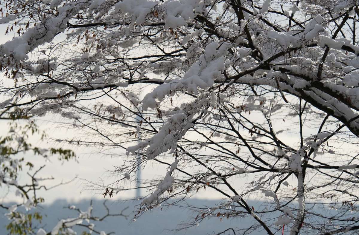 In Stuttgart fiel am Wochenende der erste Schnee  in diesem Winter. Foto: Andreas Rosar Fotoagentur-Stuttg/Andreas Rosar Fotoagentur-Stuttg