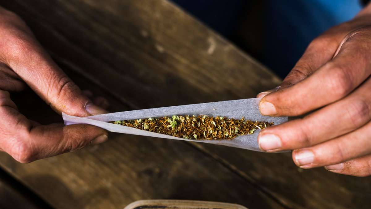 Legalisierung von Cannabis: So will ein Verein aus dem Enzkreis künftig Cannabis anbauen