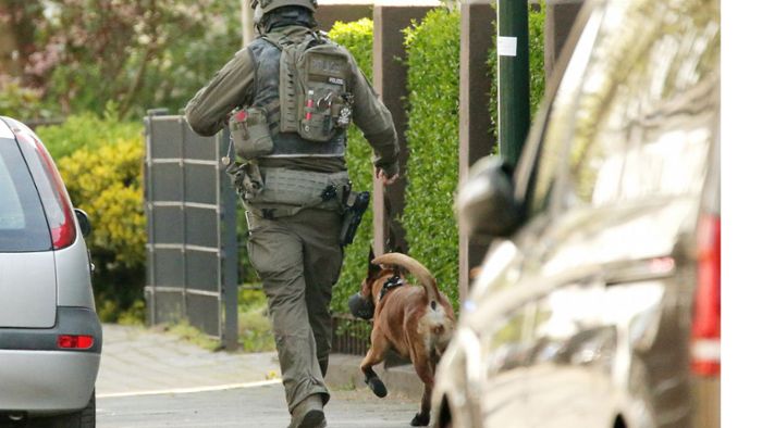 Spezialeinheit erschießt Randalierer - Polizeihund verletzt