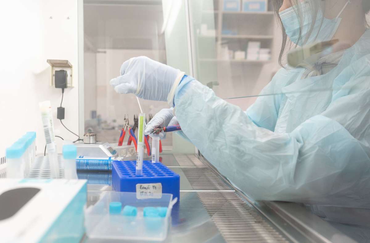 Coronavirus in Deutschland: Union fordert Priorisierung bei Auswertung von PCR-Tests