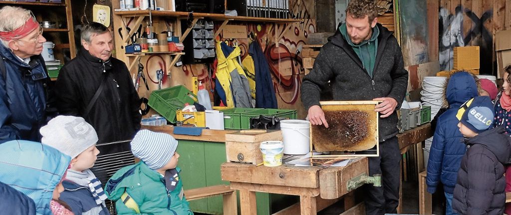 Der Imker erklärte den interessierten Kindern bei der Kids Week auf der Kulturinsel, wie die Wabe aussieht und welche Bienen sich in welchen Waben befinden.