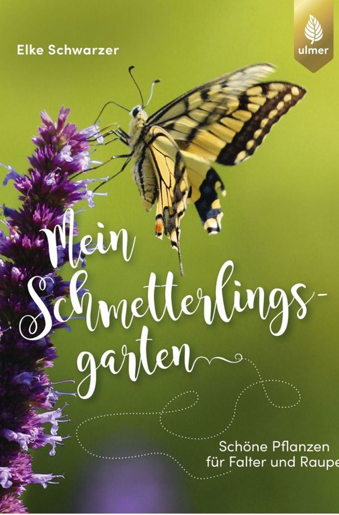 An ihrem Wissen lässt Elke Schwarzer Gartenfreunde teilhaben. Sie hat ein Buch über ihren Garten geschrieben und gibt auch viele Tipps, wie man die Falter in seinen Garten lockt. Erschienen ist „Mein Schmetterlingsgarten“ im Stuttgarter Ulmer Verlag (16,95 Euro).