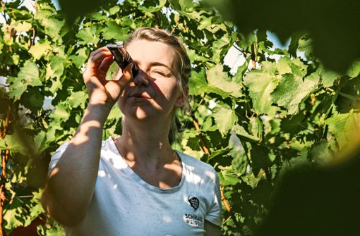 Die Untertürkheimerin  Stefanie Schwarz blickt im Weinberg zurzeit lieber durchs  Refraktometer als in die Zukunft. Foto: Weingut Schwarz/Paula Sauerhoefer