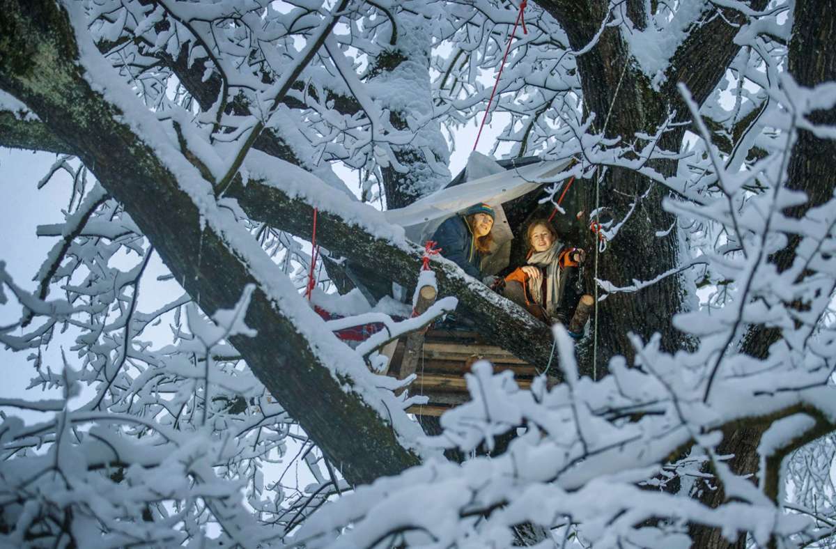 Baumbesetzer im beschaulichen Ravensburg: Kein Friede dieser Hütte