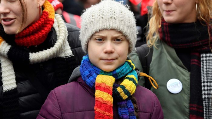 Forscher benennt neue Spinnengattung nach Greta Thunberg