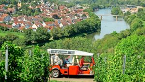 Ein Hauch von Thailand-Urlaub am Neckar