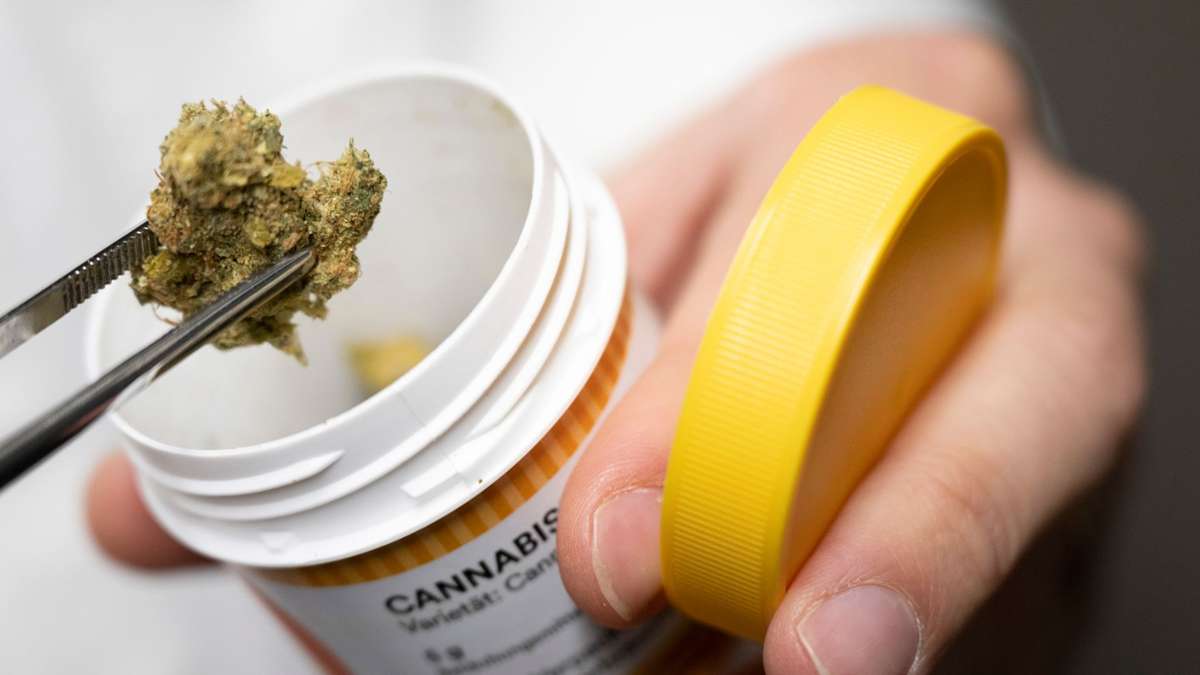 Unternehmen: Legalisierung light bringt Cannabis-Firmen in Bedrängnis