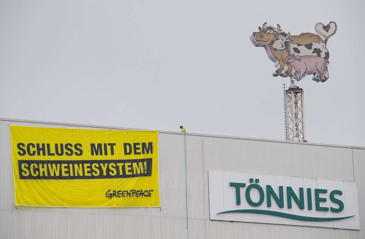 Schlachtbetrieb in Rheda-Wiedenbrück: Tönnies schlachtet zum Auftakt etwa 8000 Schweine