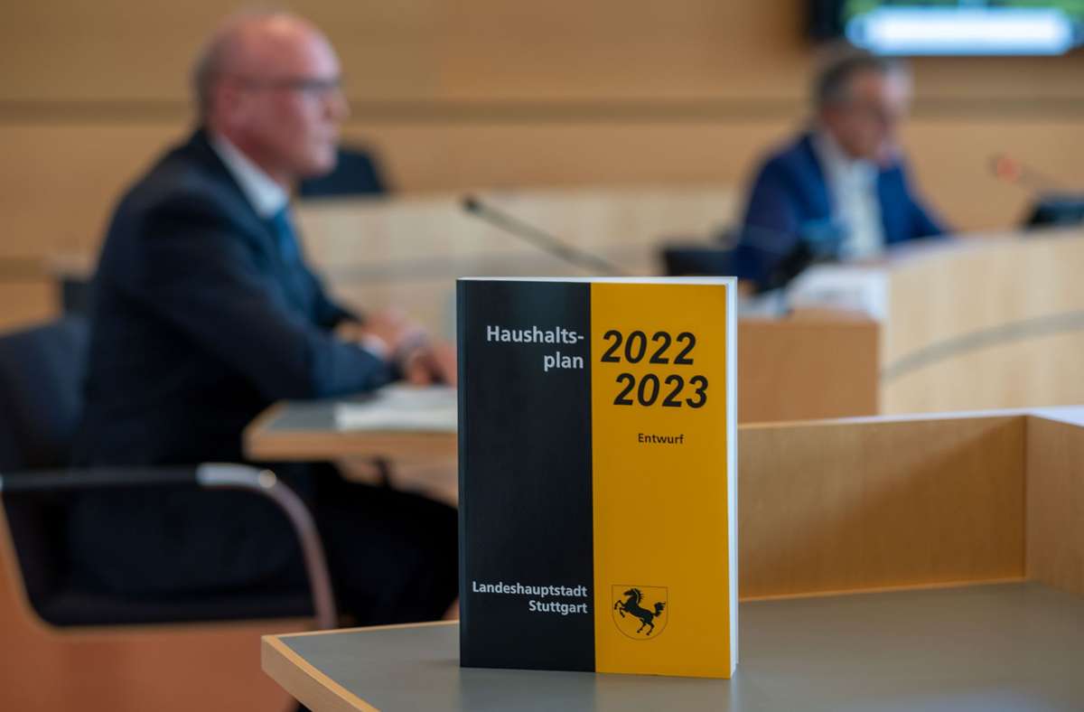 Ein Bündnis aus Grünen, CDU, SPD und FDP will den Haushaltsberatungen ihren Stempel aufdrücken. Foto: Lichtgut/Leif Piechowski