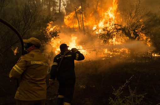 Der 8. August auf der griechischen Insel  Euböa: Feuerwehrleute versuchen, einen Brand in einem Wald im Norden der Insel  zu löschen. Foto: dpa/Marios Lolos