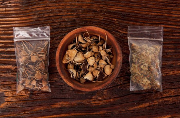 Mögliche Cannabis-Legalisierung: „Bald reden wir über Koks und Pilze“