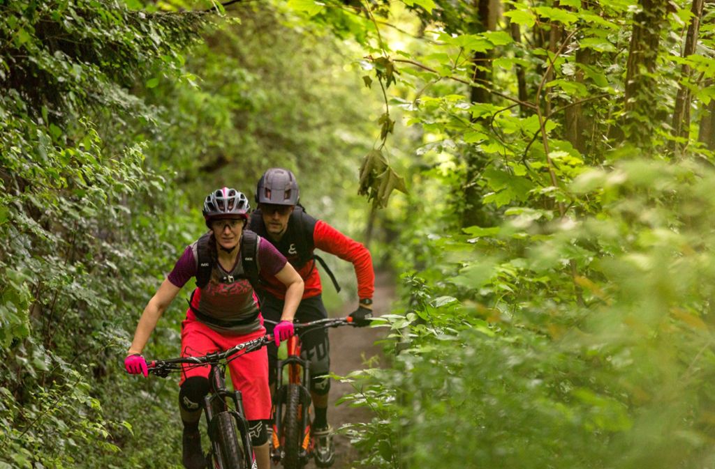 Nirgends bekommt man den Kopf so gut frei wie im Wald, sagen Mountainbiker.