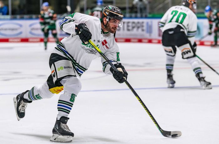 Deutsche Eishockey Liga: Drei Clubs aus Baden-Württemberg im Check