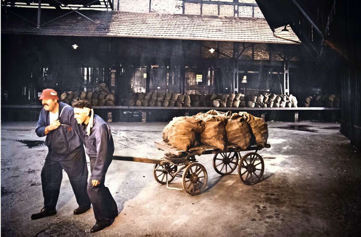 Kohle bedeutete harte Arbeit – für die Bergleute und die Mitarbeiter der Firma Zweigle. Gelagert wurde sie auf dem Gelände ...