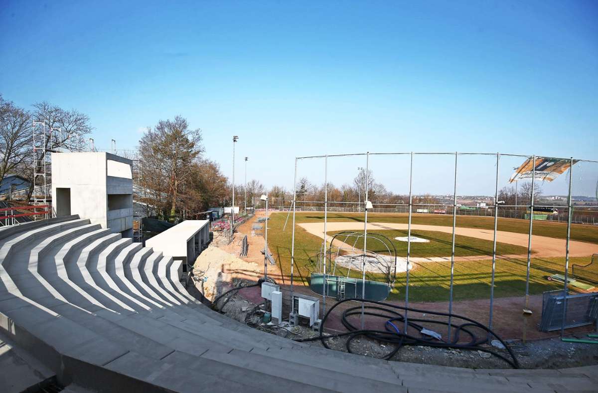 Baseballer des TV Cannstatt: Das wird das Stadion mit Stuttgarts schönster Aussicht