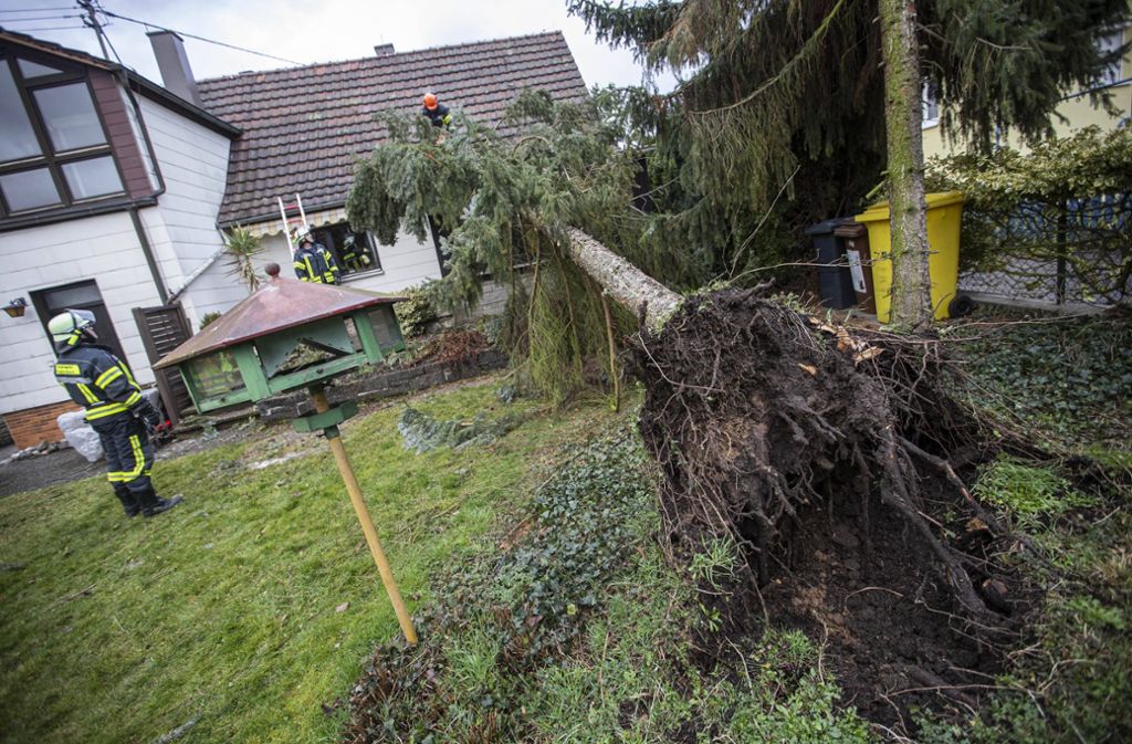 In Winterbach stürzte ein Baum auf ein Haus.