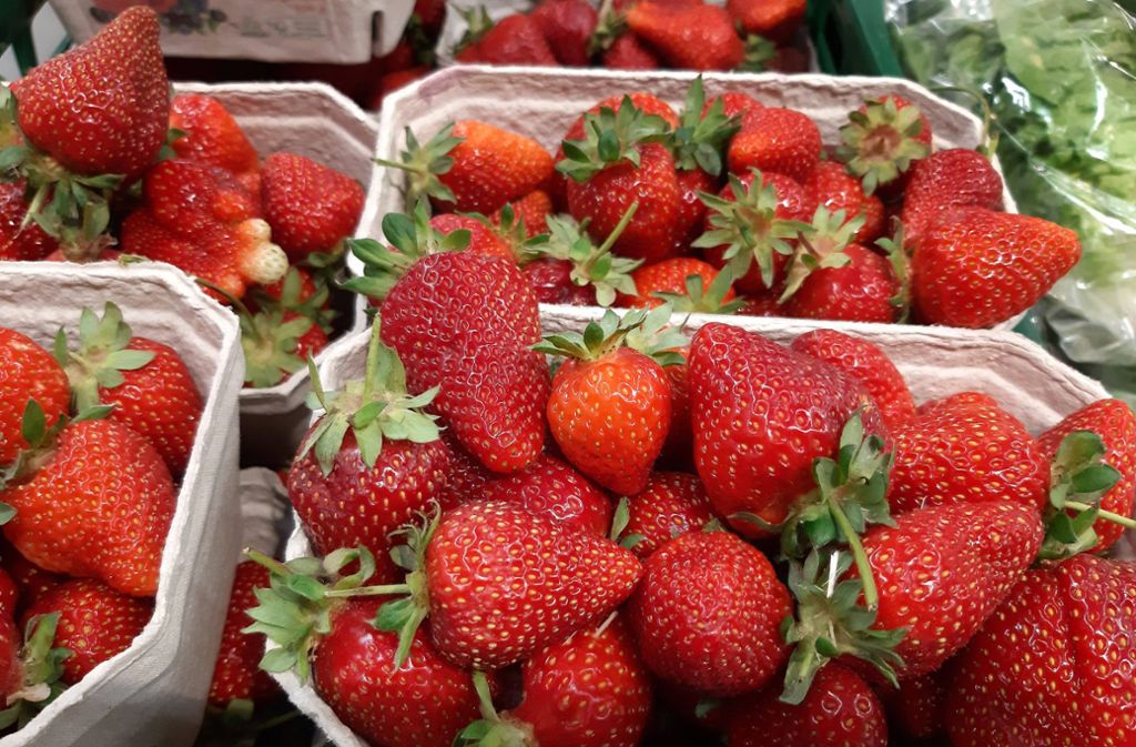 Ekelvideos von Erdbeeren aufgetaucht: Das verbirgt sich wirklich in den Früchten