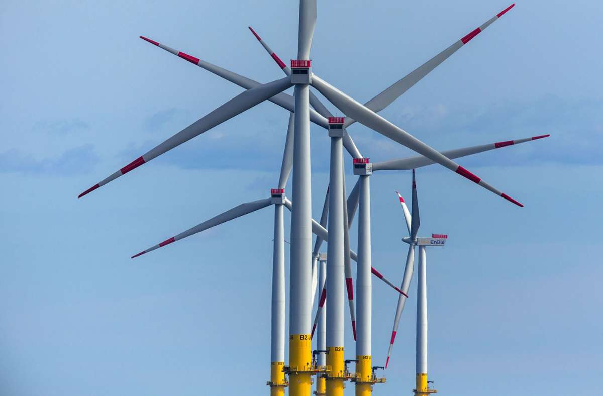 Klimaschutzziele im  Koalitionsvertrag: Naturschützer haben Zweifel am Ausbau der Windkraft