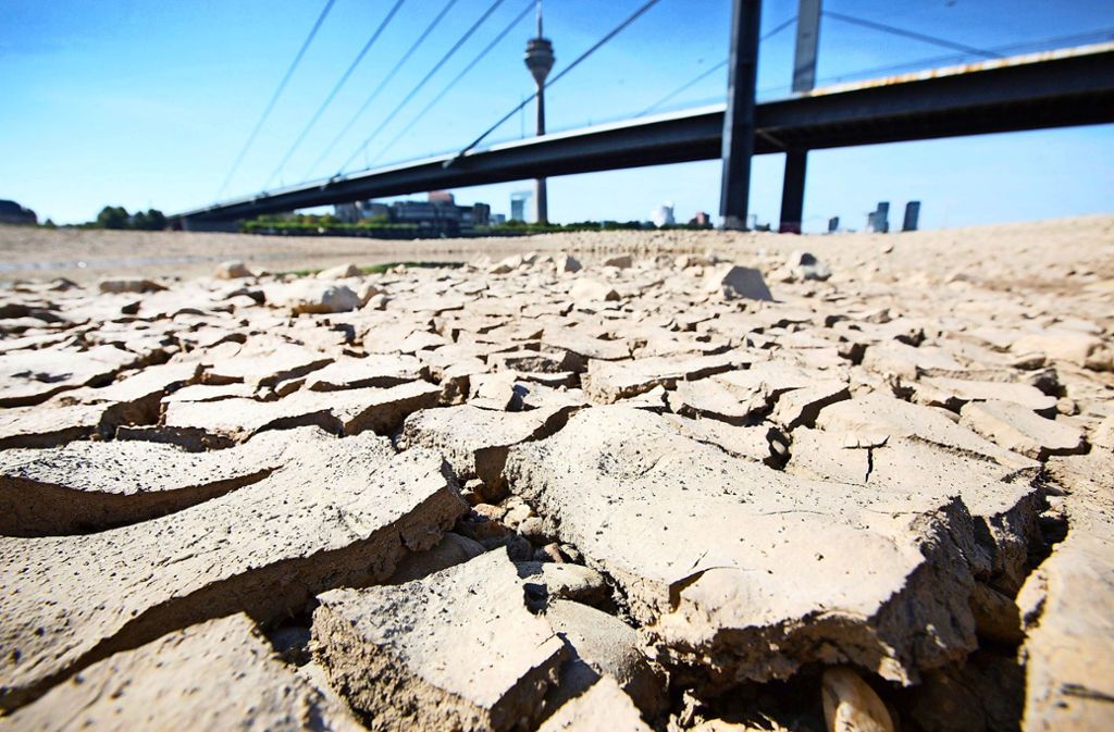 Weltklimakonferenz in Madrid: Uno: Derzeit heißestes Jahrzehnt seit Beginn der Messungen