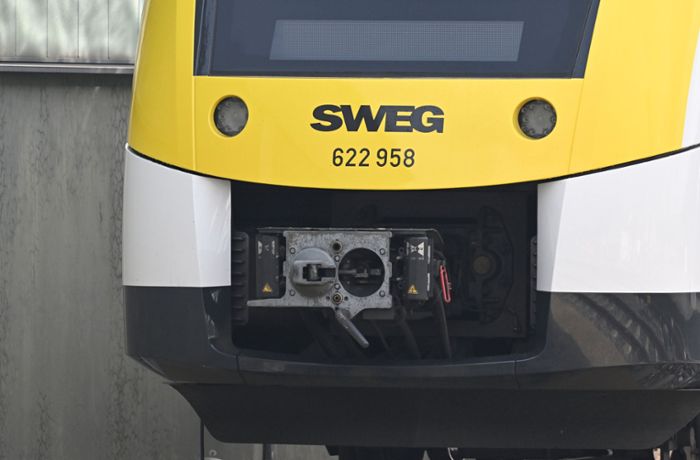 Stuttgart und Region: Züge fallen aus – wegen vieler Kranker beim Personal