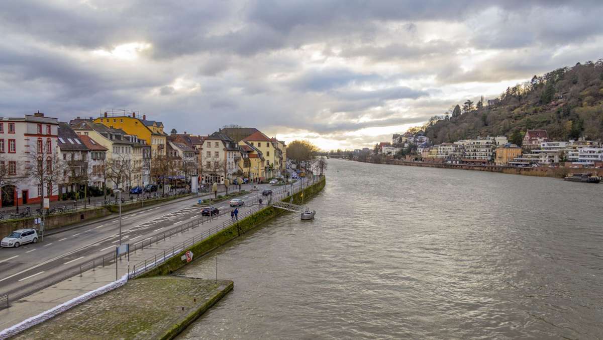Heidelberg: Mann flüchtet vor Alkoholkontrolle mit Kopfsprung in den Neckar