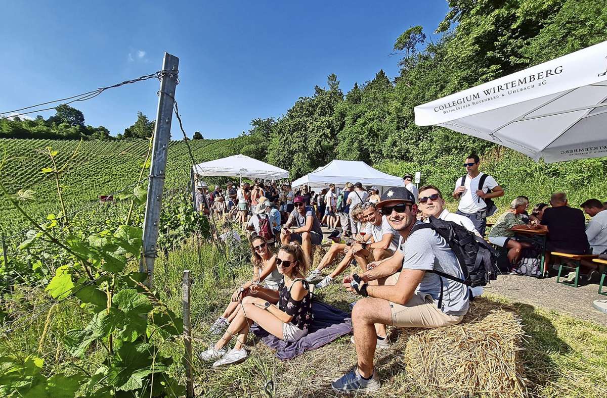 Hochgenuss bei Sonnenschein: mit einem Gläschen Wein mitten in den Weinbergen rund um den Götzenberg. Foto: Sebastian Steegmüller