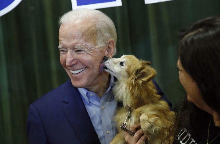 Neue First Dogs: Diese Hunde ziehen mit Joe Biden ins Weiße Haus ein