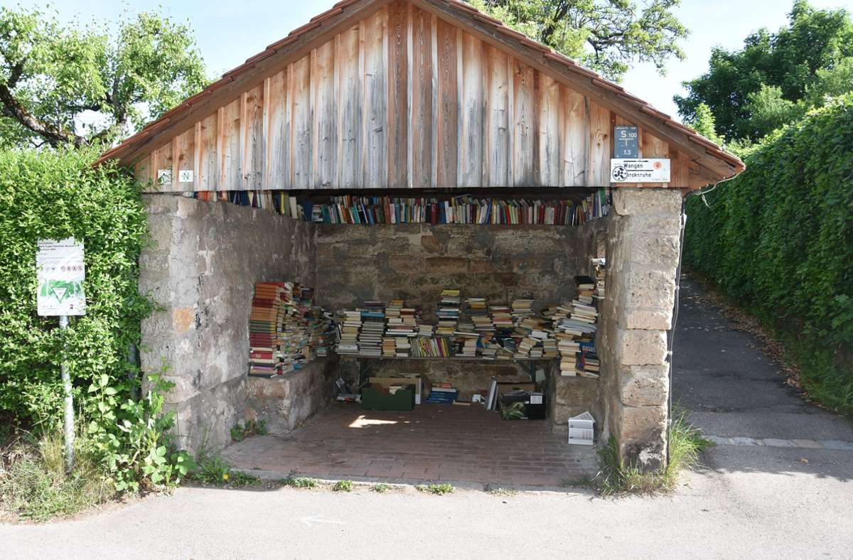 Der Unterstand auf der Wangener Höhe war oft verwüstet. Er wird als Büchertauschbörse genutzt.