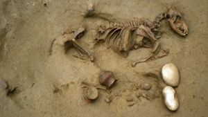 Menschen ließen sich schon vor 2000 Jahren mit Tieren bestatten