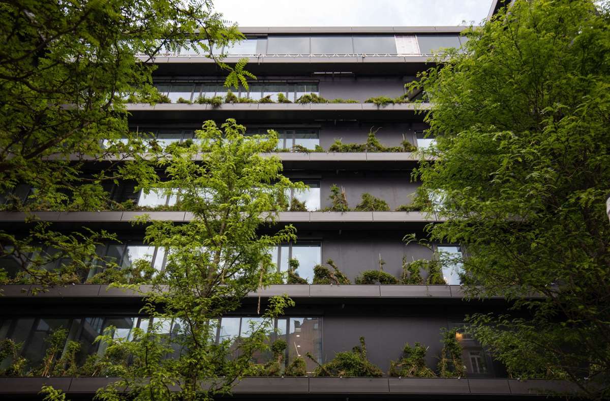 Klimagerechtes Bauen in Stuttgart: „Klimaanpassung fängt nicht erst im Gebäude an“