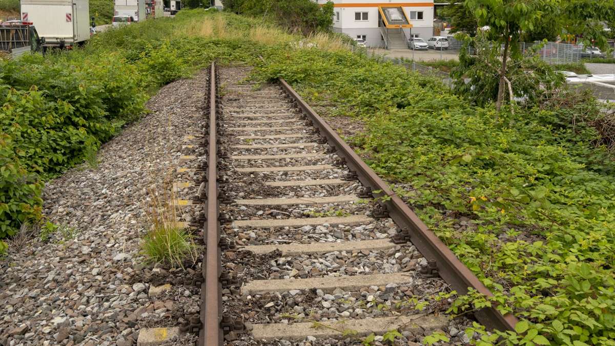 ÖPNV in Ludwigsburg: Stadtbahn-Beschlüsse eingetütet