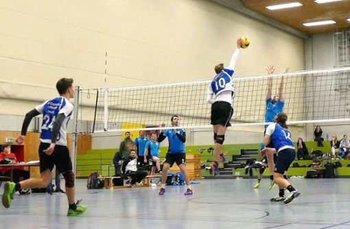 In insgesamt 16 Hallen schmettern die Volleyballspieler- und -spielerinnen des TV Cannstatt Foto: /Günter Schelling (z)