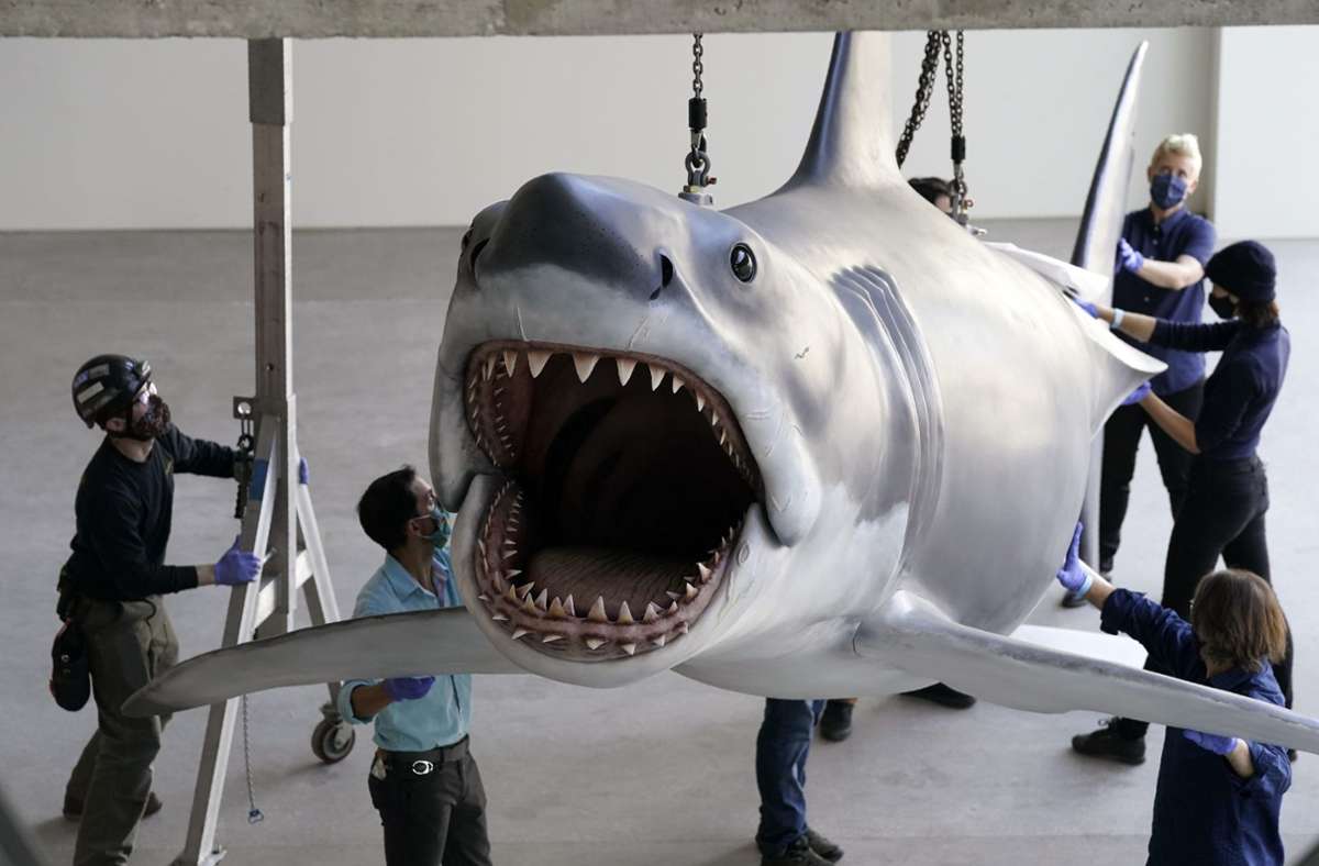 Vom Schrottplatz in Museum: Bruce, der letzte weiße Fiberglas-Hai