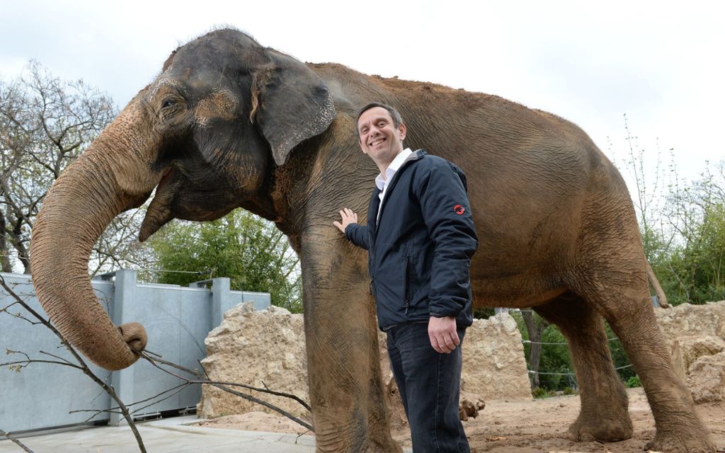 STUTTGART: Wilhelma-Direktor Thomas Kölpin rechnet frühestens 2019 mit dem Baubeginn für das neue Elefantenhaus: Pama und Zella müssen sich noch gedulden