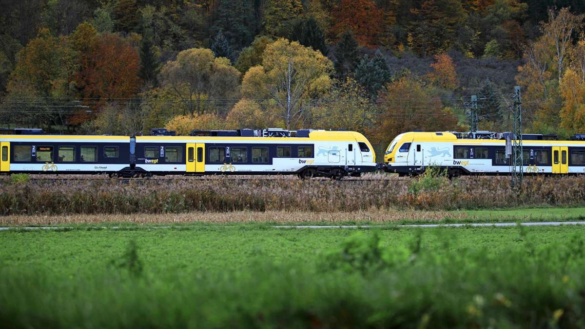 Zug und S-Bahn: Warum der Nahverkehr ausgebremst wird